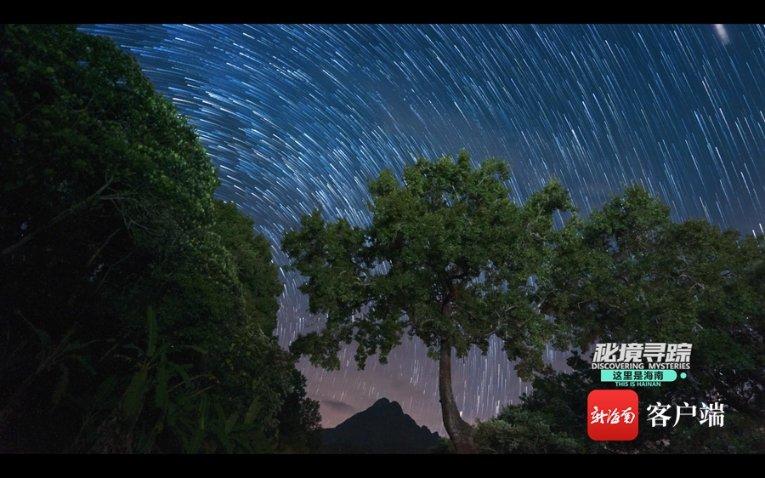 召唤神龙万宁版祖龙
