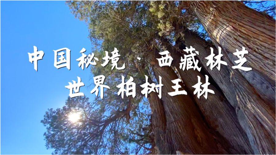 手机游戏