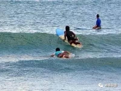 冬天鸡蛋和桂圆一起煮，养护肝脏，补气血，赶跑小毛病