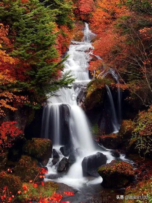 迷失在荒野
