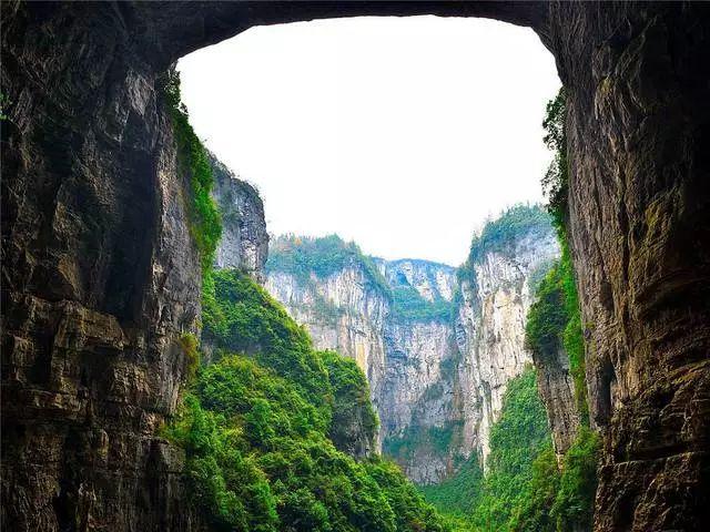 只有油盐酱油怎么做猪骨？