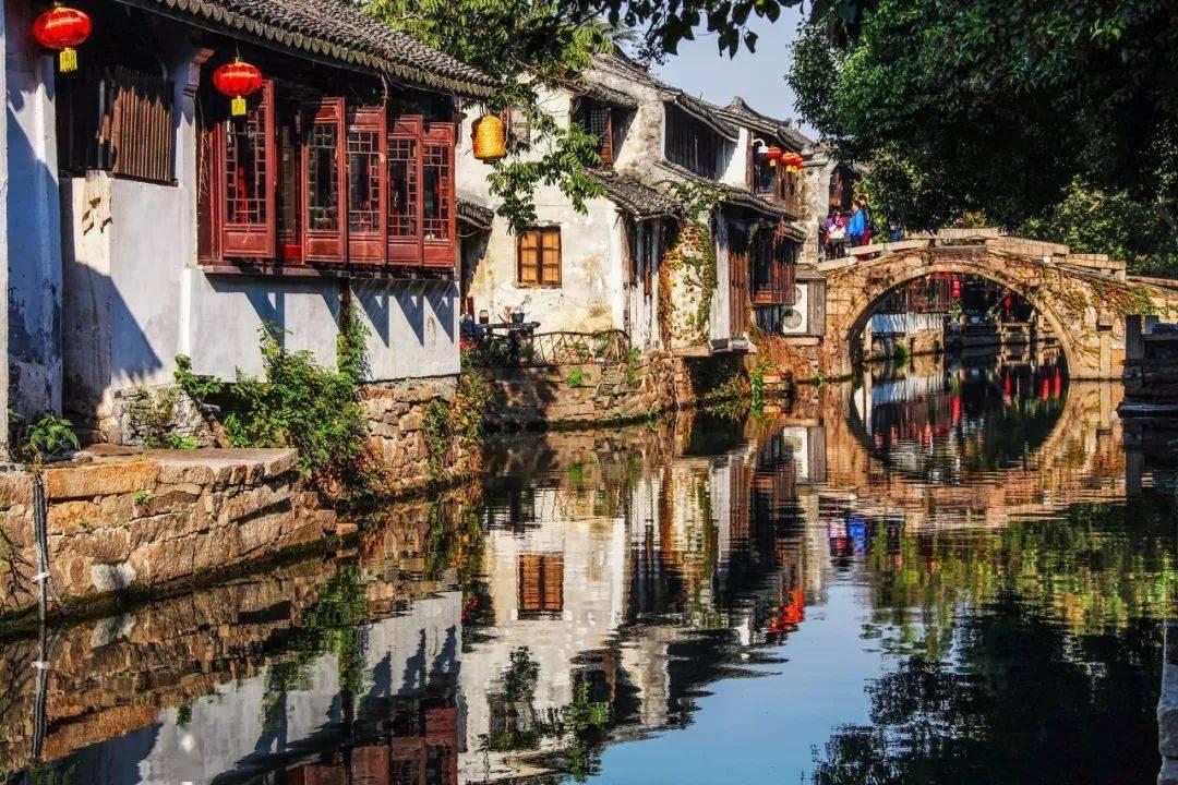 逃离橡子树种植地
